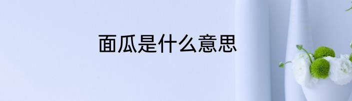 面瓜是什么意思