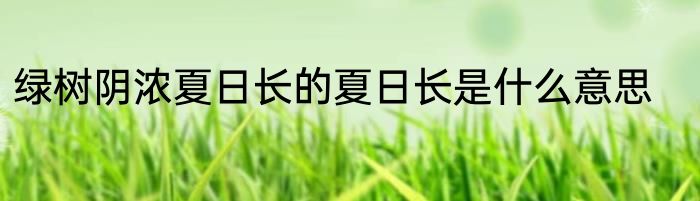 绿树阴浓夏日长的夏日长是什么意思