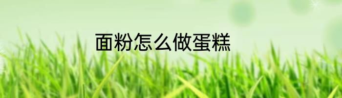 面粉怎么做蛋糕
