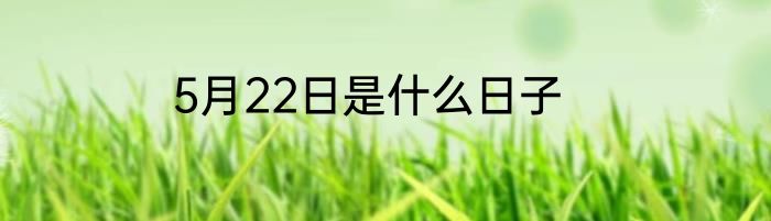5月22日是什么日子
