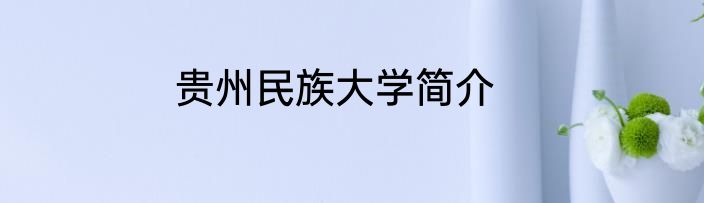 贵州民族大学简介