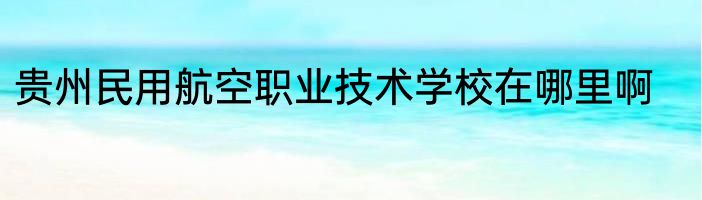 贵州民用航空职业技术学校在哪里啊