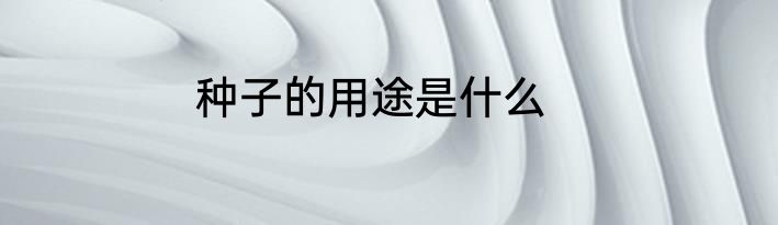 种子的用途是什么