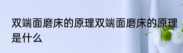 双端面磨床的原理双端面磨床的原理是什么