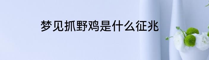 梦见抓野鸡是什么征兆