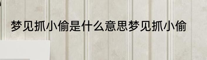 梦见抓小偷是什么意思梦见抓小偷