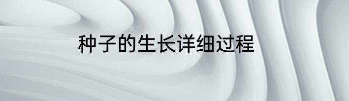 种子的生长详细过程