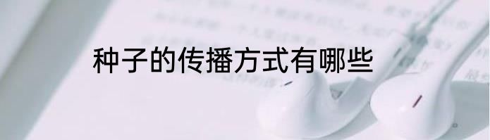种子的传播方式有哪些