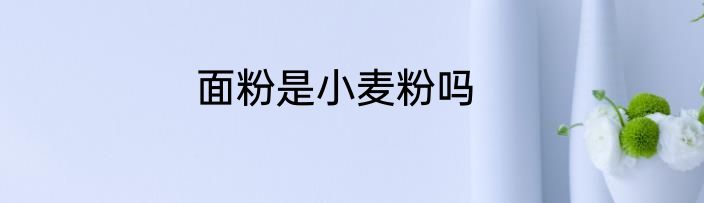 面粉是小麦粉吗