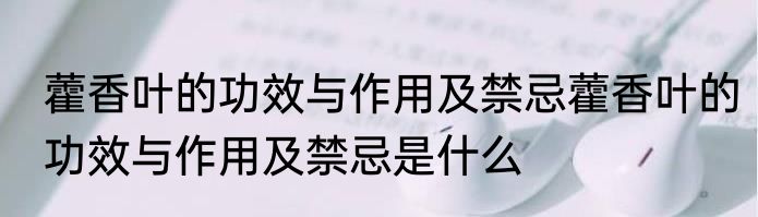 藿香叶的功效与作用及禁忌藿香叶的功效与作用及禁忌是什么