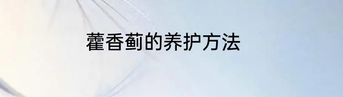 藿香蓟的养护方法