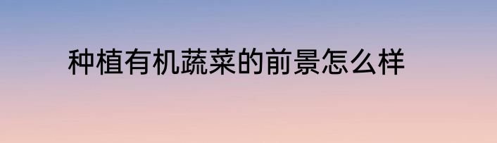 种植有机蔬菜的前景怎么样