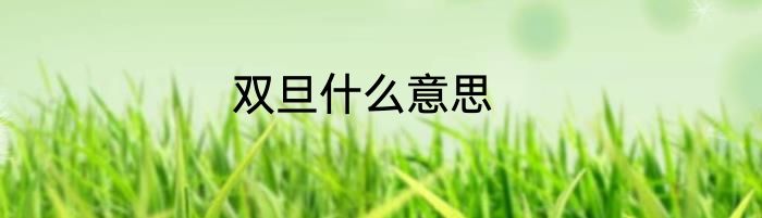 双旦什么意思