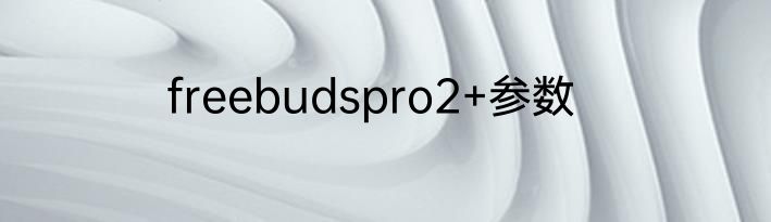 freebudspro2+参数