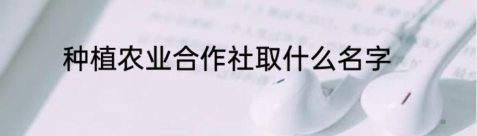 种植农业合作社取什么名字