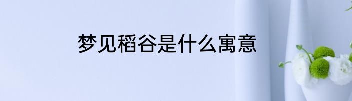 梦见稻谷是什么寓意