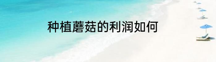 种植蘑菇的利润如何
