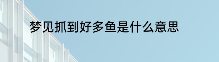 梦见抓到好多鱼是什么意思