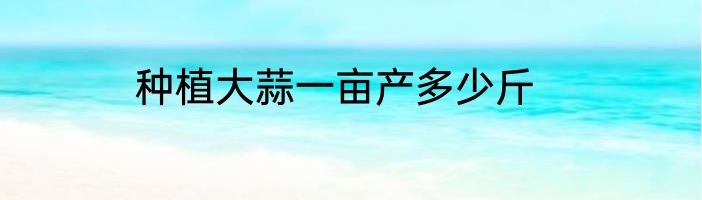 种植大蒜一亩产多少斤