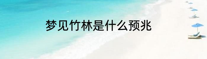 梦见竹林是什么预兆