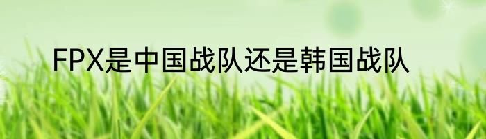 FPX是中国战队还是韩国战队
