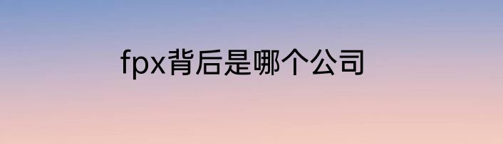 fpx背后是哪个公司
