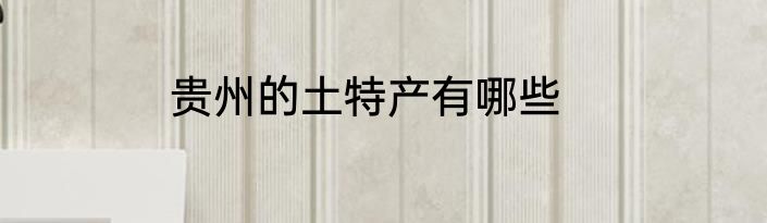 贵州的土特产有哪些