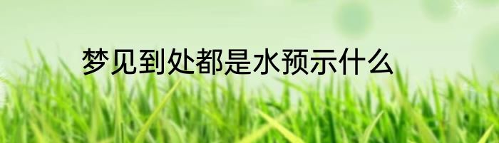 梦见到处都是水预示什么