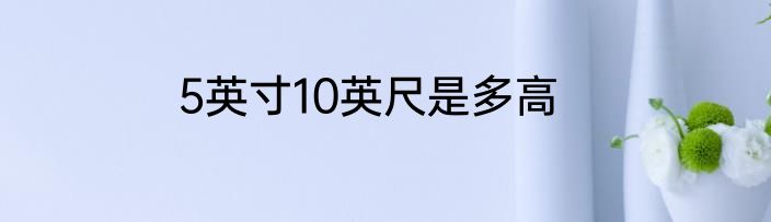 5英寸10英尺是多高