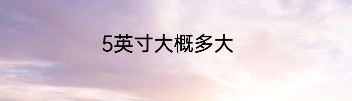 5英寸大概多大