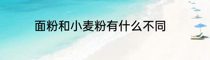 面粉和小麦粉有什么不同