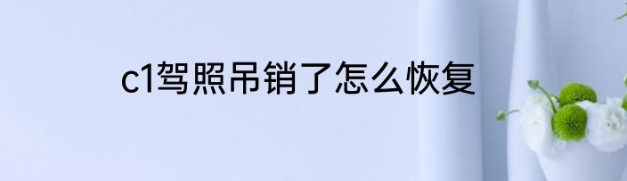 c1驾照吊销了怎么恢复