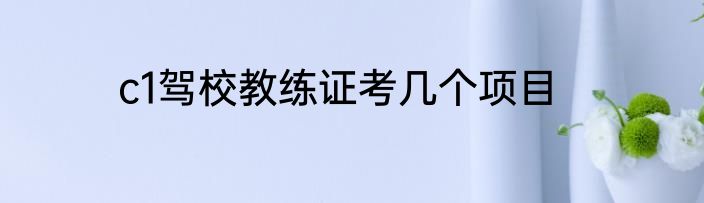 c1驾校教练证考几个项目