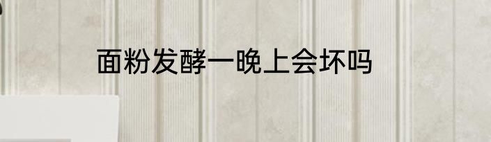 面粉发酵一晚上会坏吗