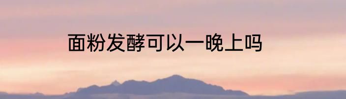 面粉发酵可以一晚上吗