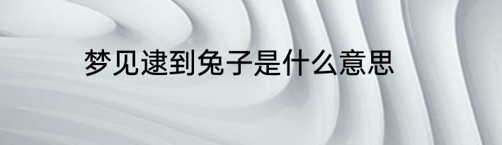 梦见逮到兔子是什么意思