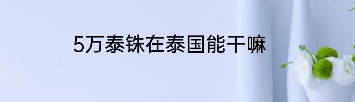 5万泰铢在泰国能干嘛