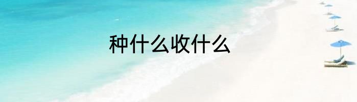 种什么收什么