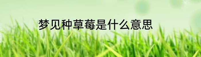 梦见种草莓是什么意思