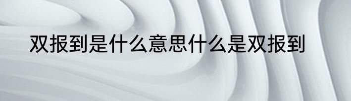 双报到是什么意思什么是双报到