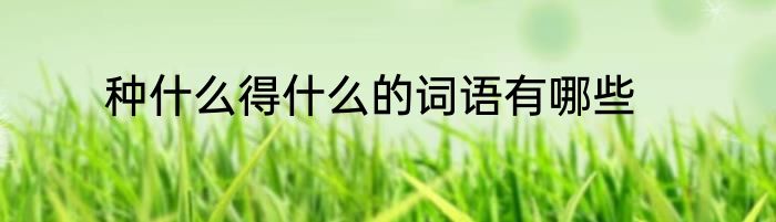 种什么得什么的词语有哪些