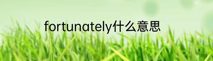 fortunately什么意思