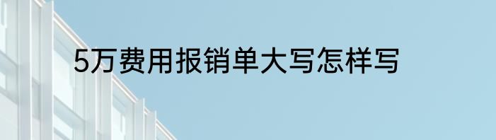 5万费用报销单大写怎样写
