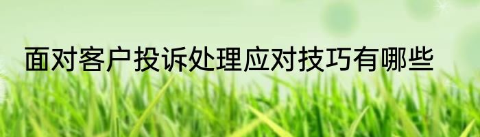 面对客户投诉处理应对技巧有哪些