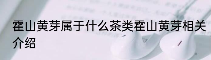霍山黄芽属于什么茶类霍山黄芽相关介绍