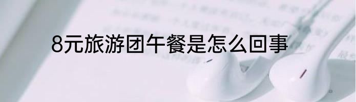 8元旅游团午餐是怎么回事