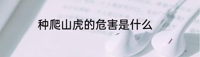 种爬山虎的危害是什么