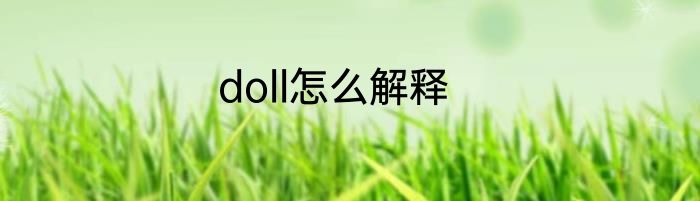 doll怎么解释