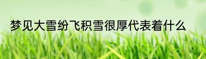 梦见大雪纷飞积雪很厚代表着什么