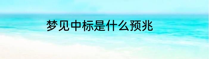 梦见中标是什么预兆
